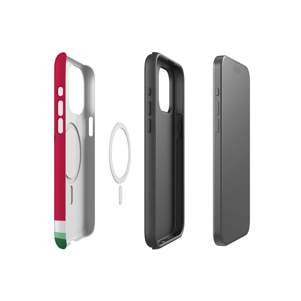 Summer Melon — Magsafe Tough Case for iPhone — Finnaij