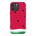 Summer Melon — iPhone 16 Pro Max Magsafe Tough Case — Finnaij